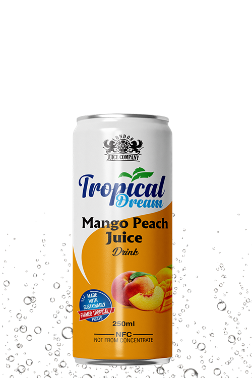 Tropical Dream Mango Peach Juice Drink 250ml can with mango and peach fruit label.