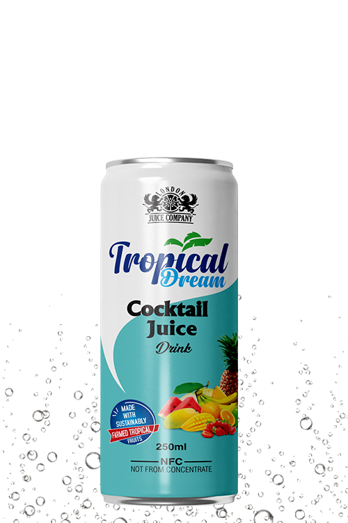 Tropical Dream Cocktail Juice Drink 250ml can with mixed tropical fruit label.