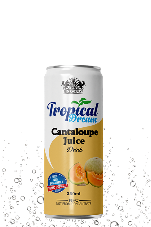 Tropical Dream Cantaloupe Juice Drink 330ml can with cantaloupe fruit label.
