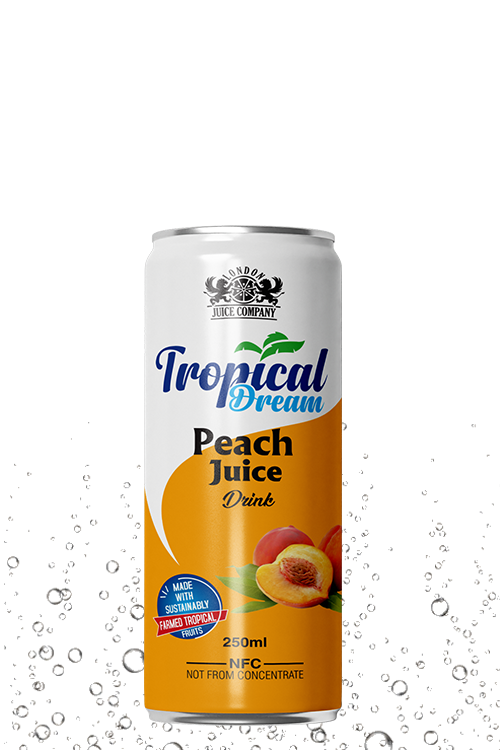 Tropical Dream Peach Juice Drink 250ml can with peach fruit label and NFC not from concentrate text.