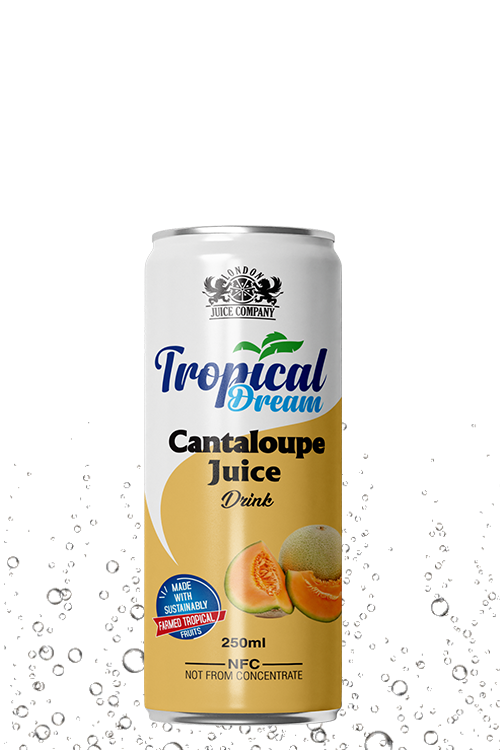 Tropical Dream Cantaloupe Juice Drink 250ml can with cantaloupe fruit label.