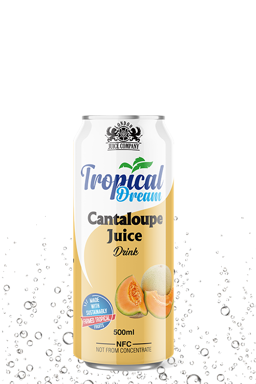 Tropical Dream Cantaloupe Juice Drink 500ml can with cantaloupe fruit label.