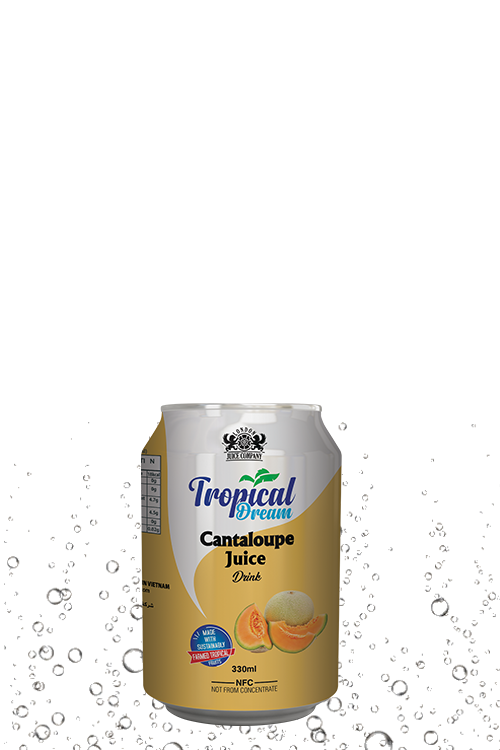 Tropical Dream Cantaloupe Juice Drink 330ml can with cantaloupe fruit label and side-view packaging.